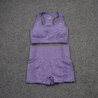 Thumbnail for Seamless Fitness Yoga Wear Shorts Set