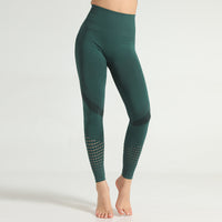 Thumbnail for Seamless Knit Yoga Pants